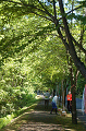 Dsc_0012_thumb.png