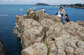 Dsc_0004_thumb.png