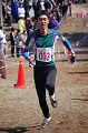 Dsc_0342_thumb.png
