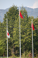Dsc_0240_thumb.png