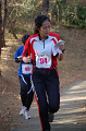 Dsc_0062_thumb.png