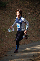 Dsc_0170_thumb.png